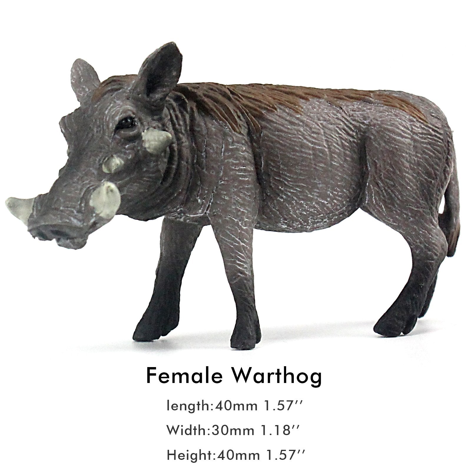 FUNSHOWCASE African Jungle Warthog figurine close-up with vibrant colors and details.