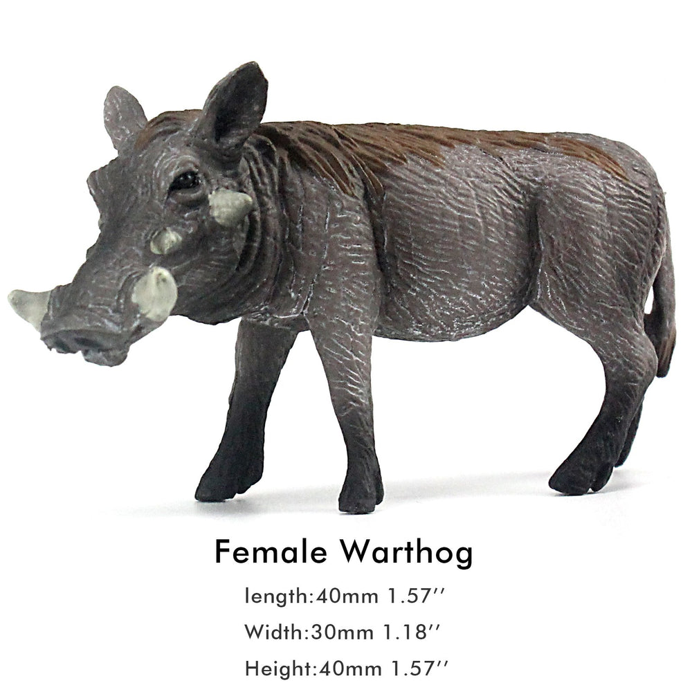 FUNSHOWCASE African Jungle Warthog figurine close-up with vibrant colors and details.