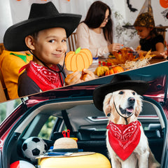 Funtery pack of 10 hats and 10 bandanas simplifies party setup.