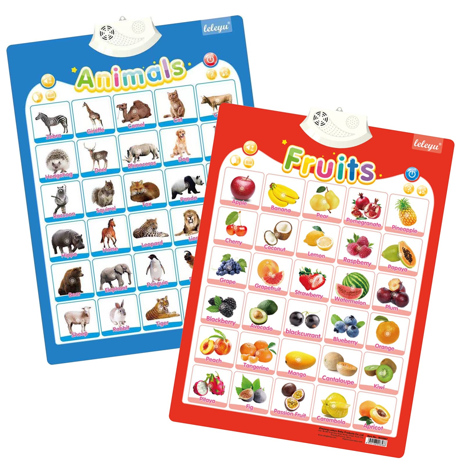 FUNWISH interactive quiz with feedback motivates learning through play