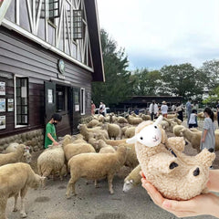 Furvana shaved sheep razor-pull detail, playful design for interactive grooming