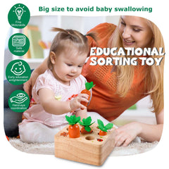 FZHZZ baby-safe toy: smooth edges support safe grasping and early exploration.