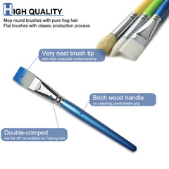 GACDR bulk brushes for kids with large natural bristle for wide coverage