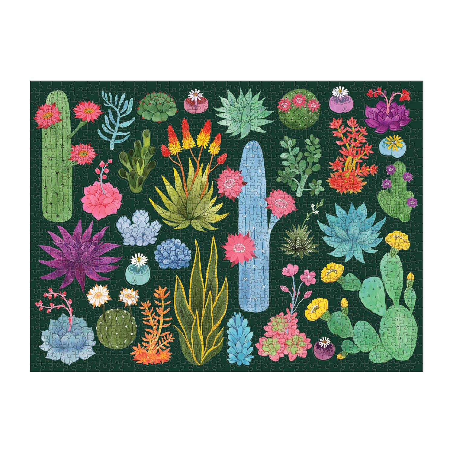 Cacti and succulent shapes featured in Galison Desert Flora Puzzle
