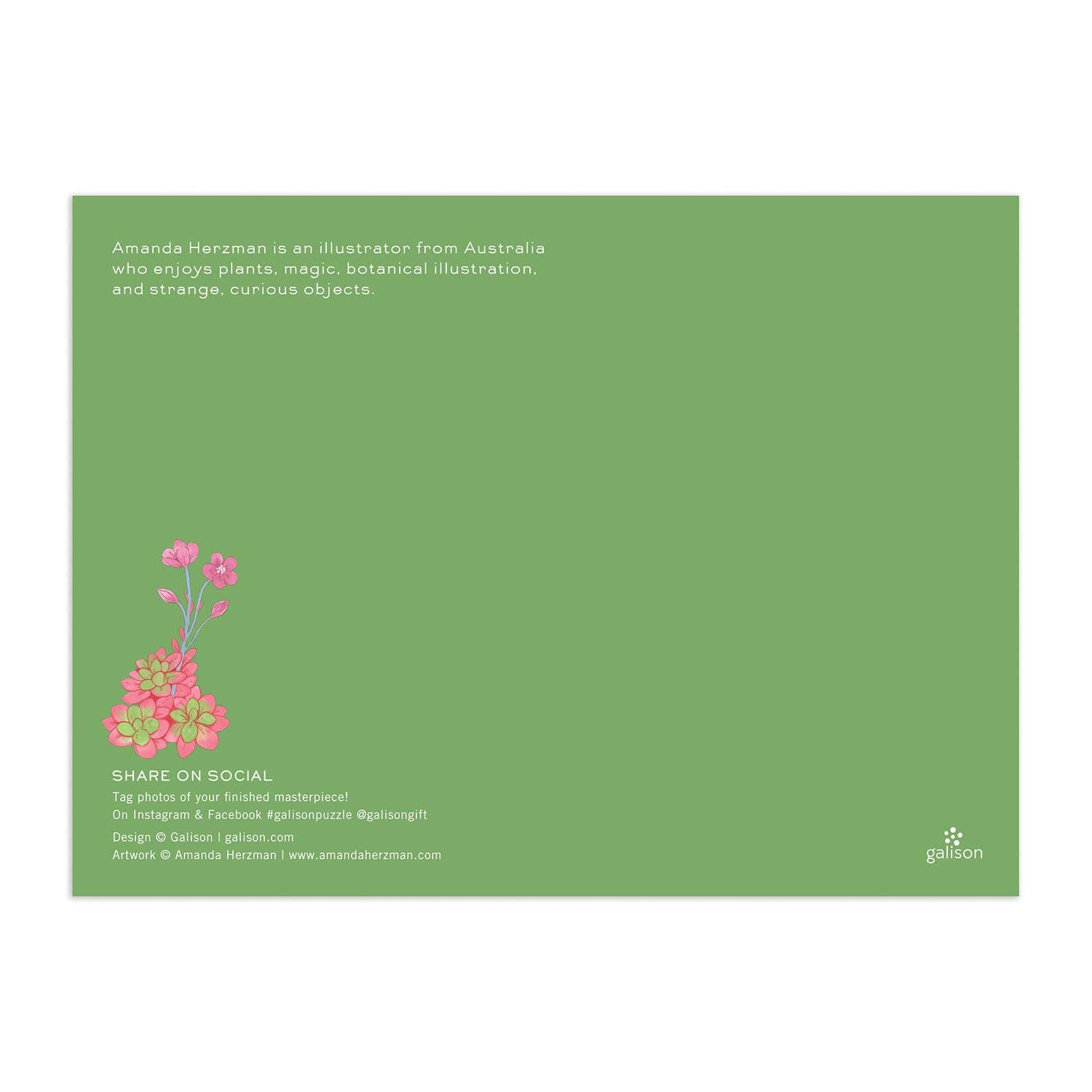 Full image insert included with Galison Desert Flora Puzzle for reference