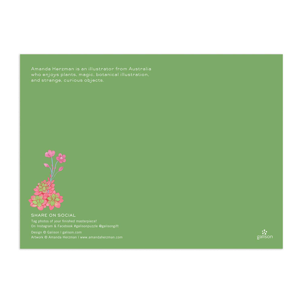 Full image insert included with Galison Desert Flora Puzzle for reference