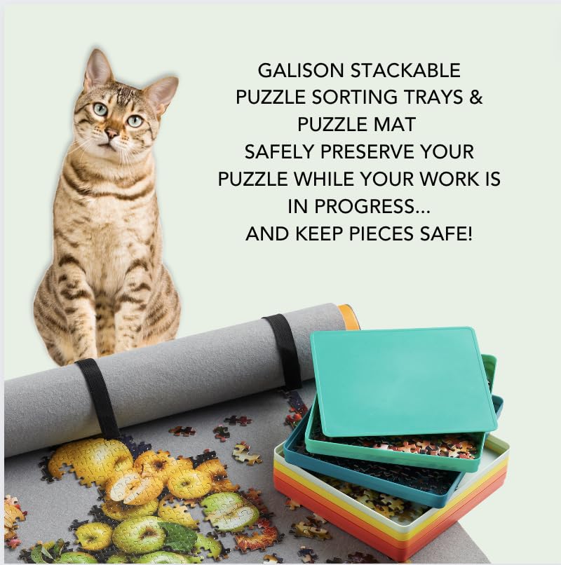Galison Stackable trays with lid ready for easy storage.