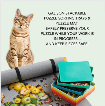 Galison Stackable trays with lid ready for easy storage.