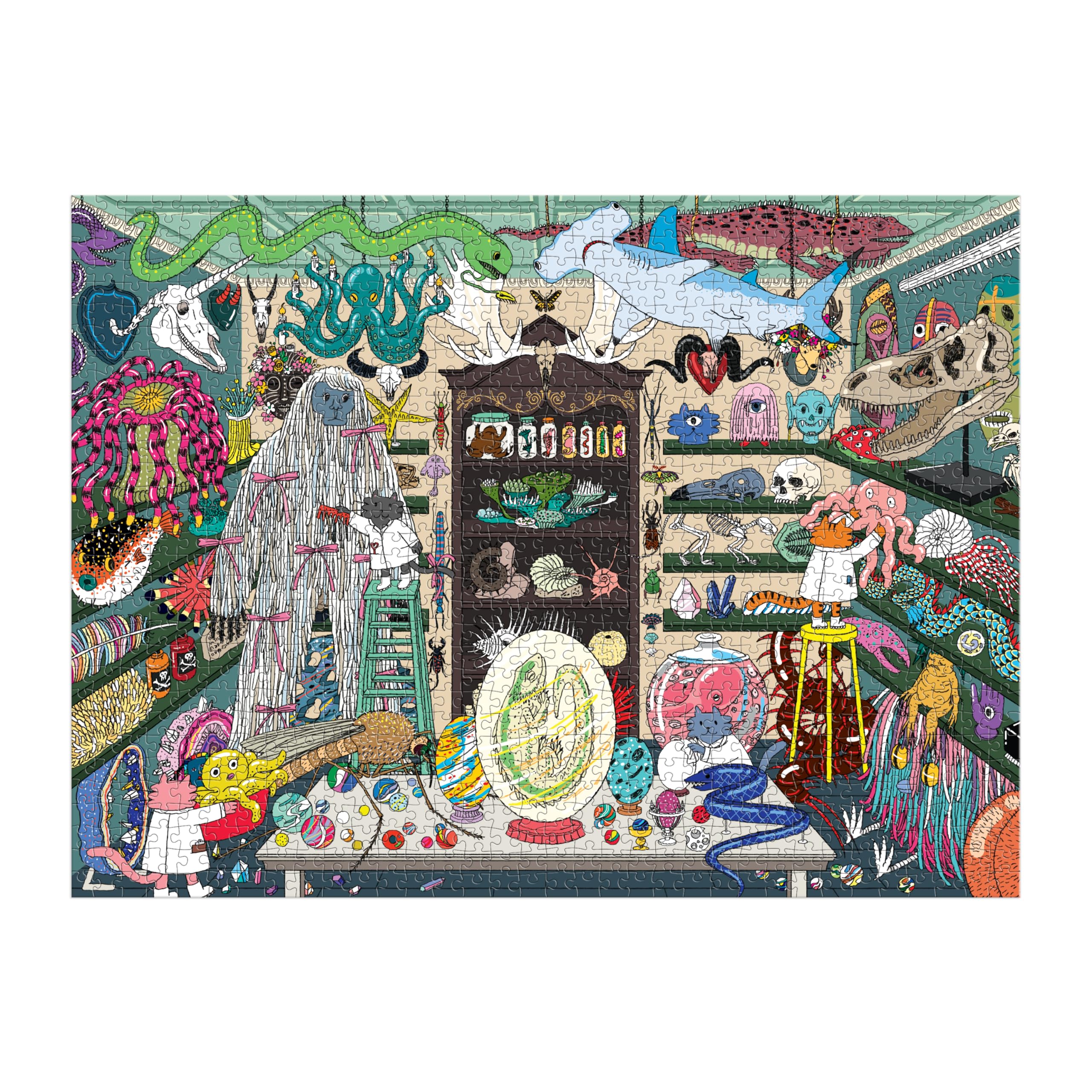 Galison World of Curiosities' humorous illustrations spark curiosity during puzzle night.