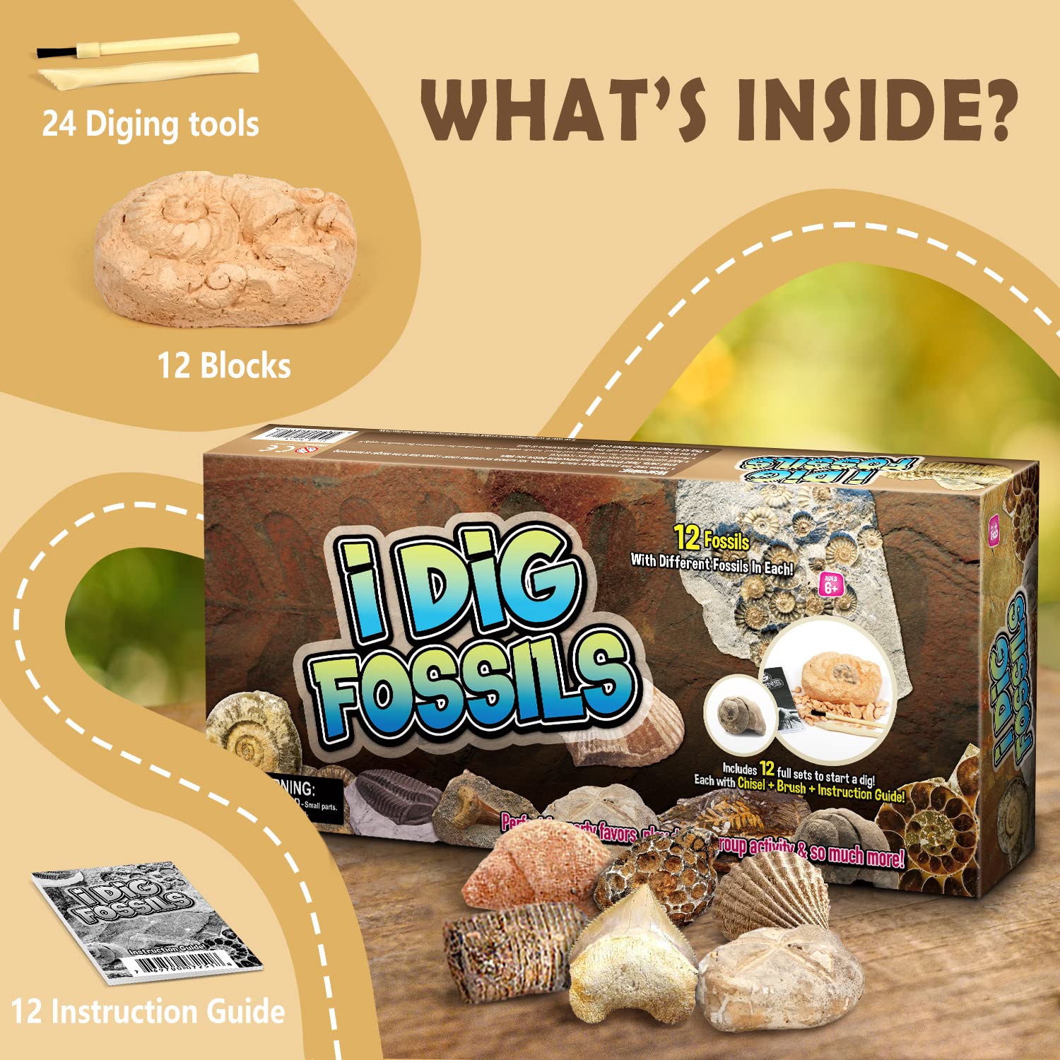 Gamerside Fossil Dig Kit eggs display with 12 fossil eggs for exploration.