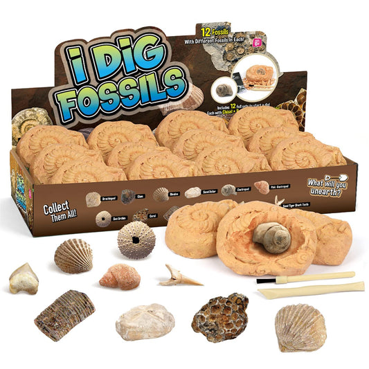 Gamerside Fossil Dig Kit hero image showing hands-on excavation for curious kids.