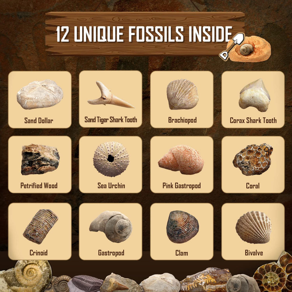 Gamerside Fossil Dig Kit kids digging in action for hands-on science.