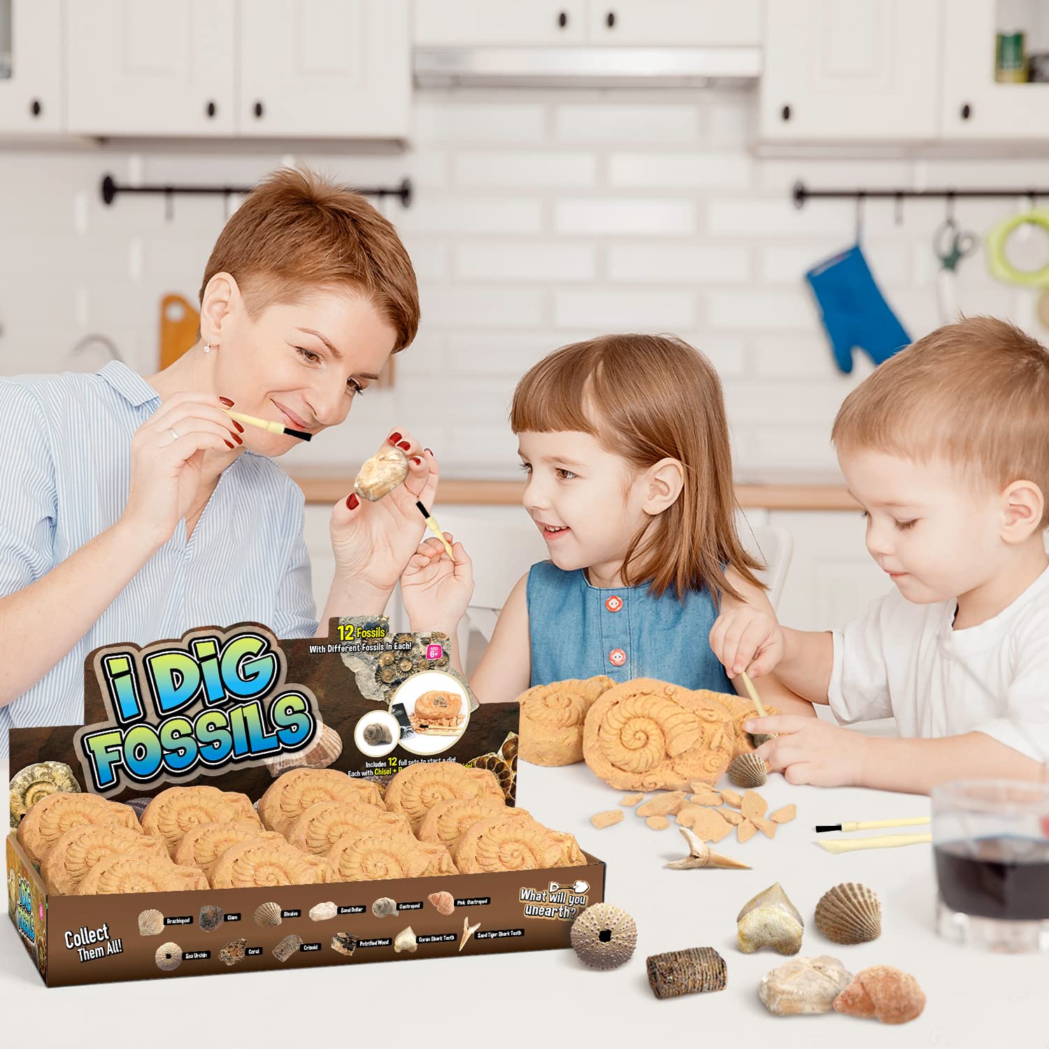 Gamerside Fossil Dig Kit tools and brushes setup for careful fossil discovery.