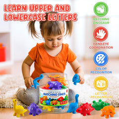 Ganaj classroom-learning dinos displayed for group activities and math manipulation.