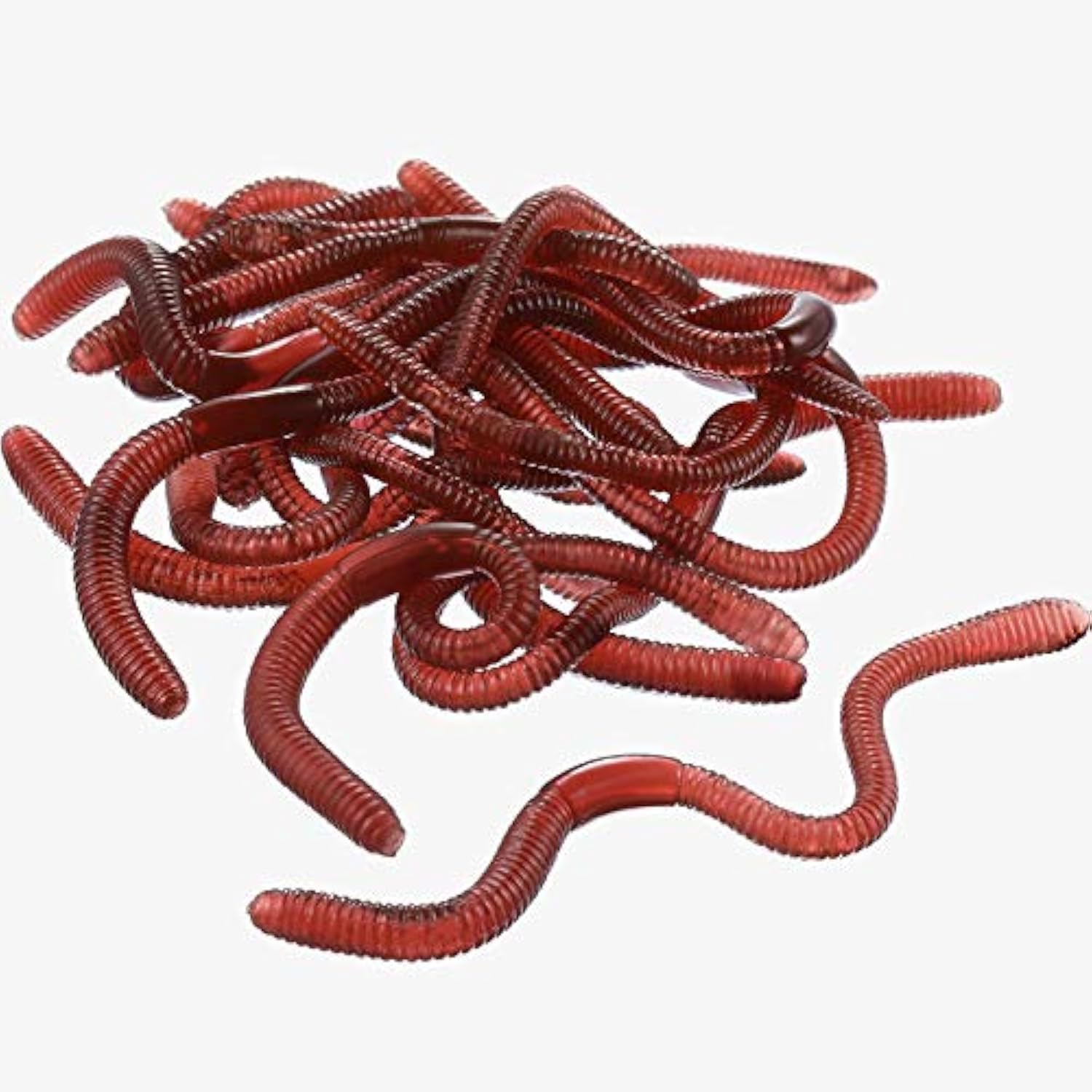 Gejoy fake earthworms close-up showing lifelike texture for pranks and decor