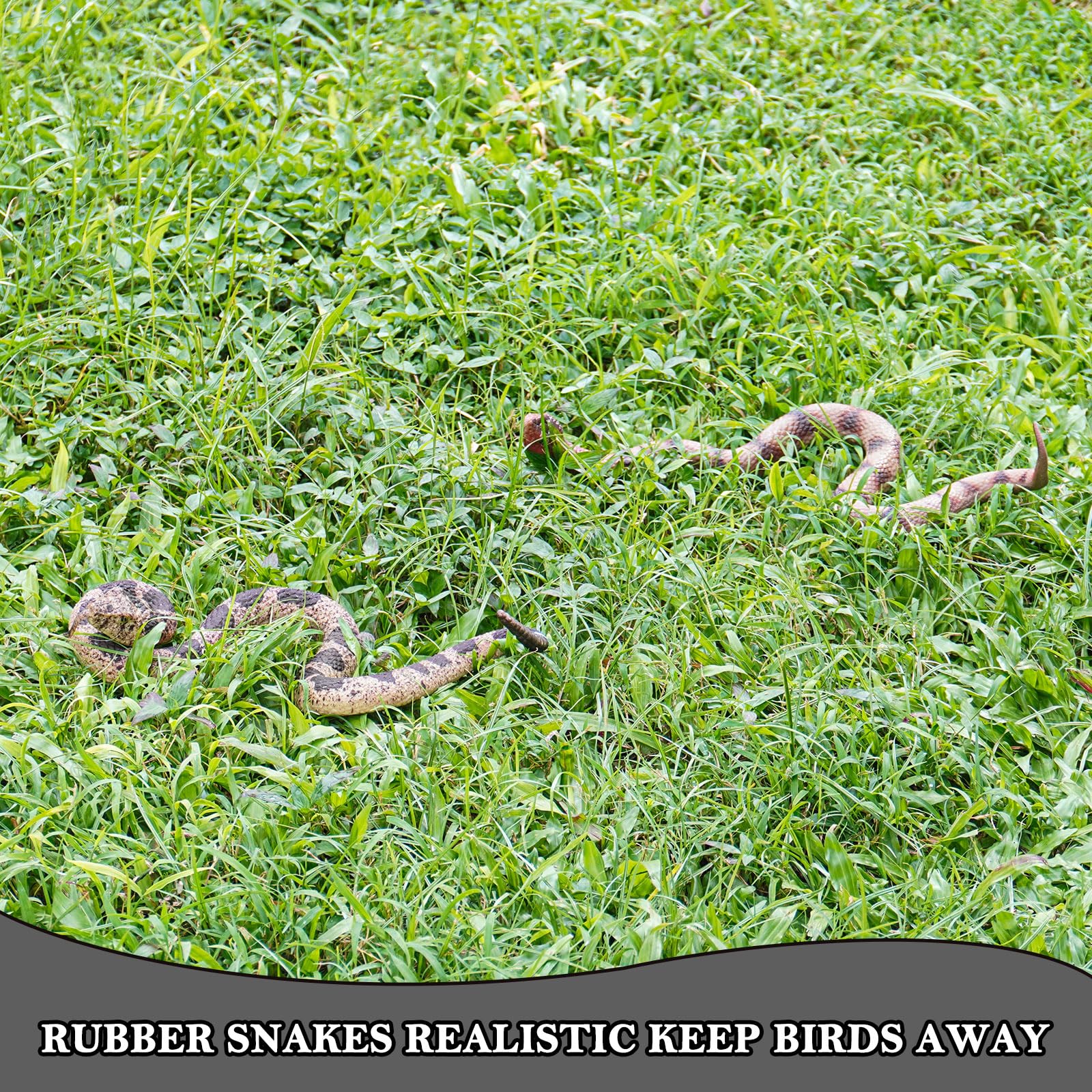 Gelabur versatile snake for pranks, decor, and education