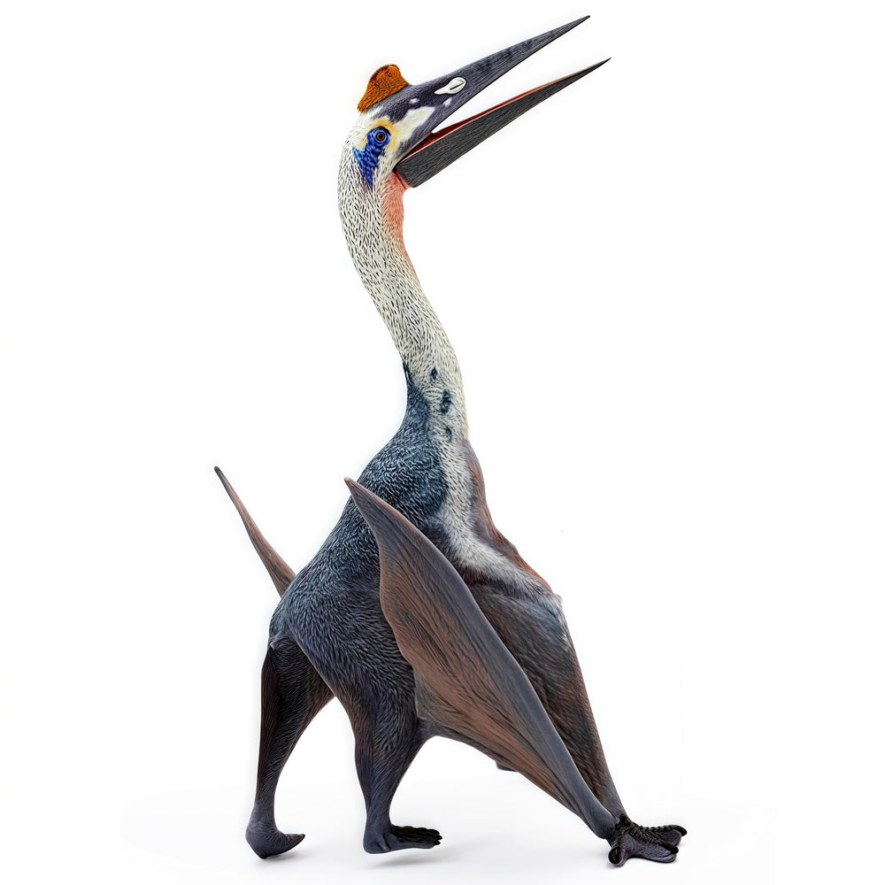 Gemini&Genius collection display box to spark interest in prehistoric life.