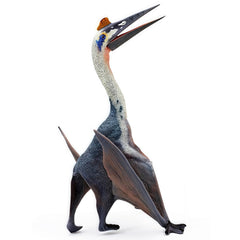 Gemini&Genius collection display box to spark interest in prehistoric life.