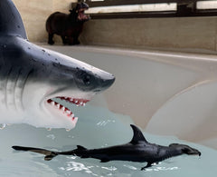Soft rubber hammerhead shark toy from Gemini&Genius for safe pool time fun.