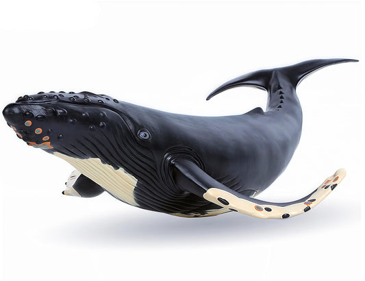 Gemini&Genius humpback whale action figure, front view, ideal bath companion for imaginative play.