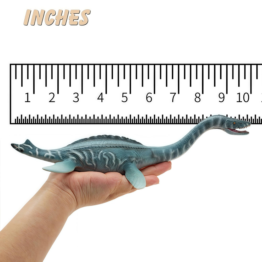 Gemini&Genius Plesiosaurus on display for a growing collection and shelves.