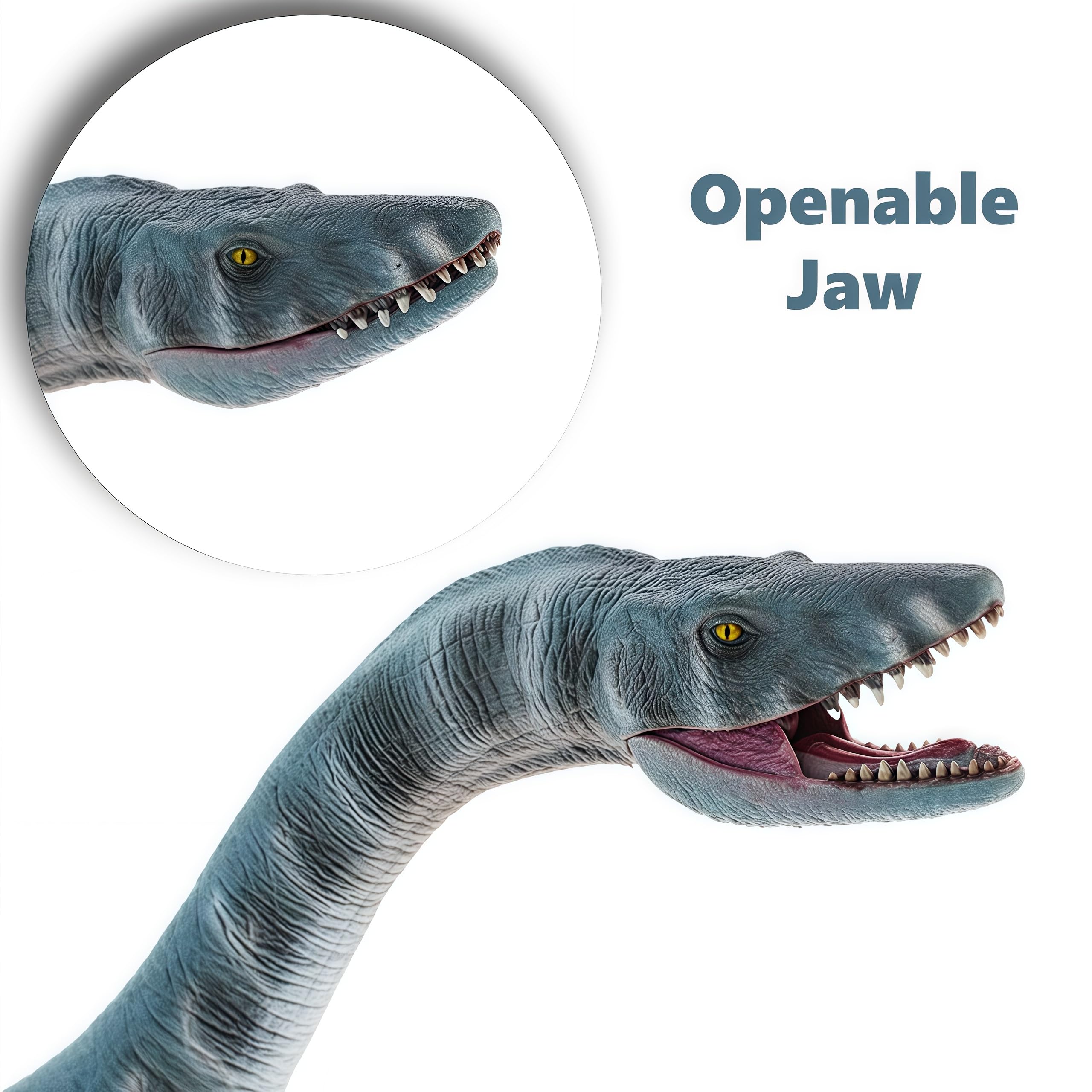 Plesiosaurus diorama color box by Gemini&Genius for display and gifting.