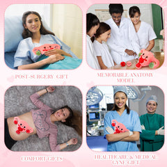 Gemscream uterus plush encourages health awareness conversations among communities.