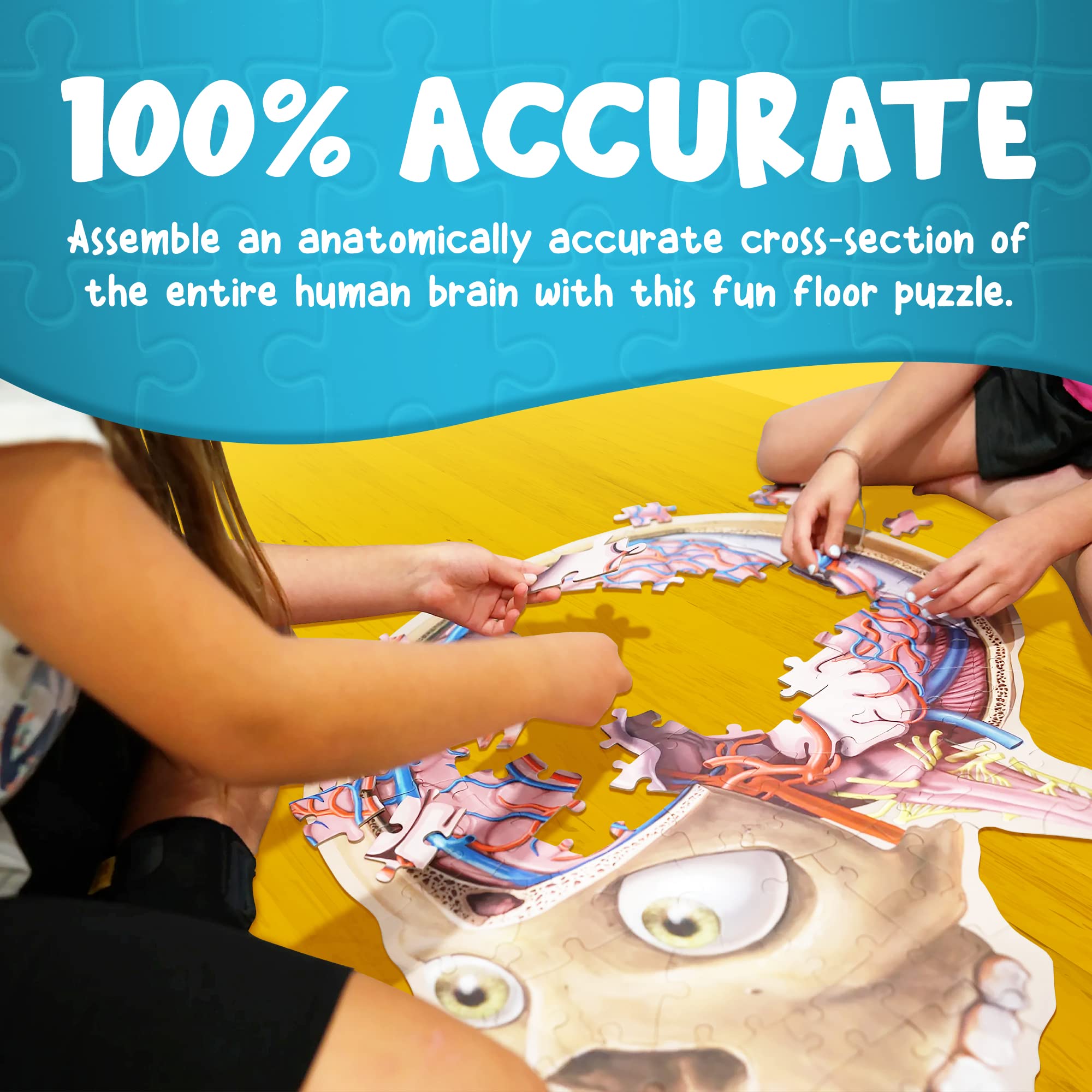 Genius Games anatomy guide for guided brain exploration included