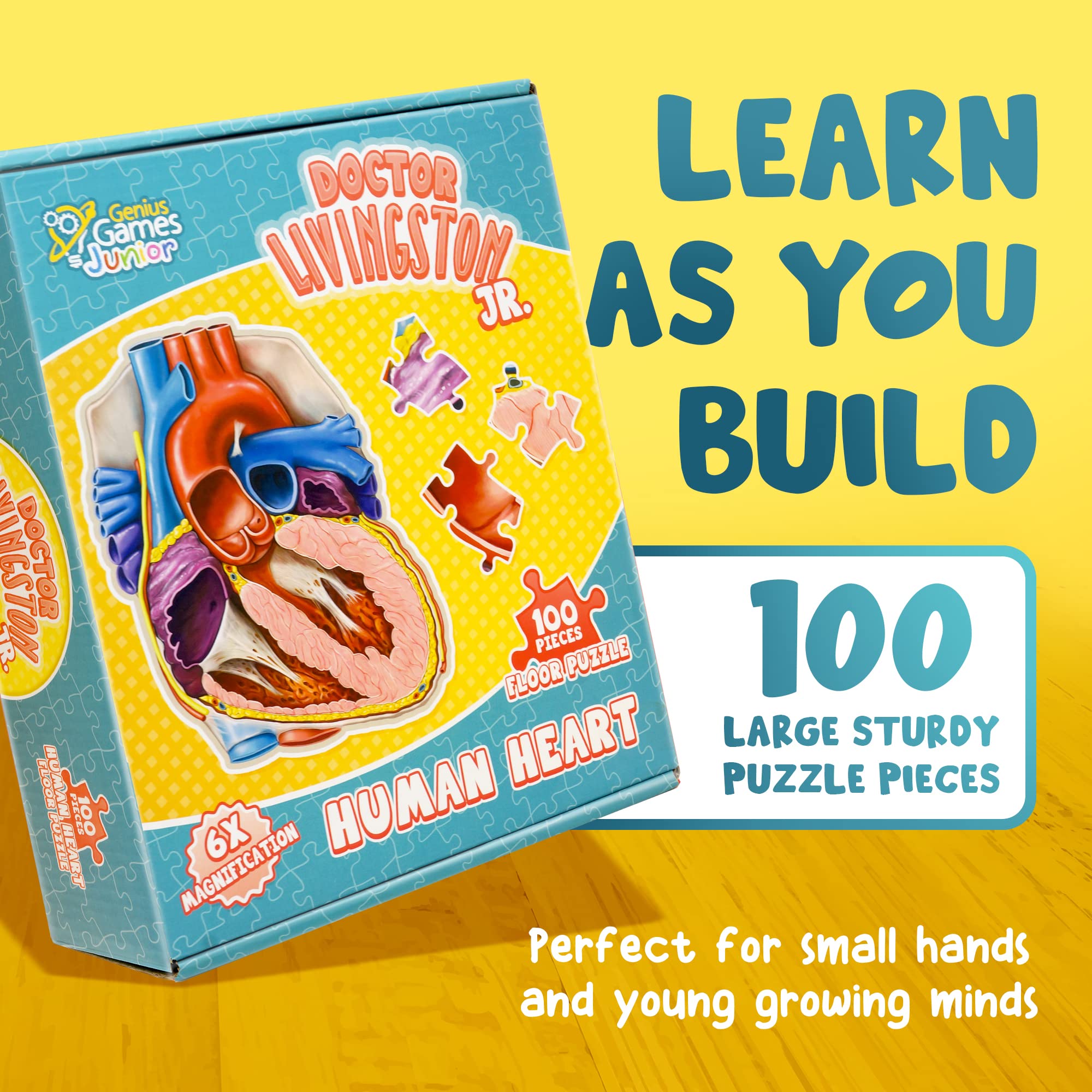 Genius Games anatomy guide included supports independent heart learning.
