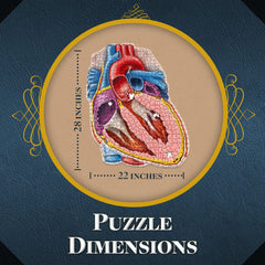Genius Games anatomy guide included supports guided exploration during puzzle assembly