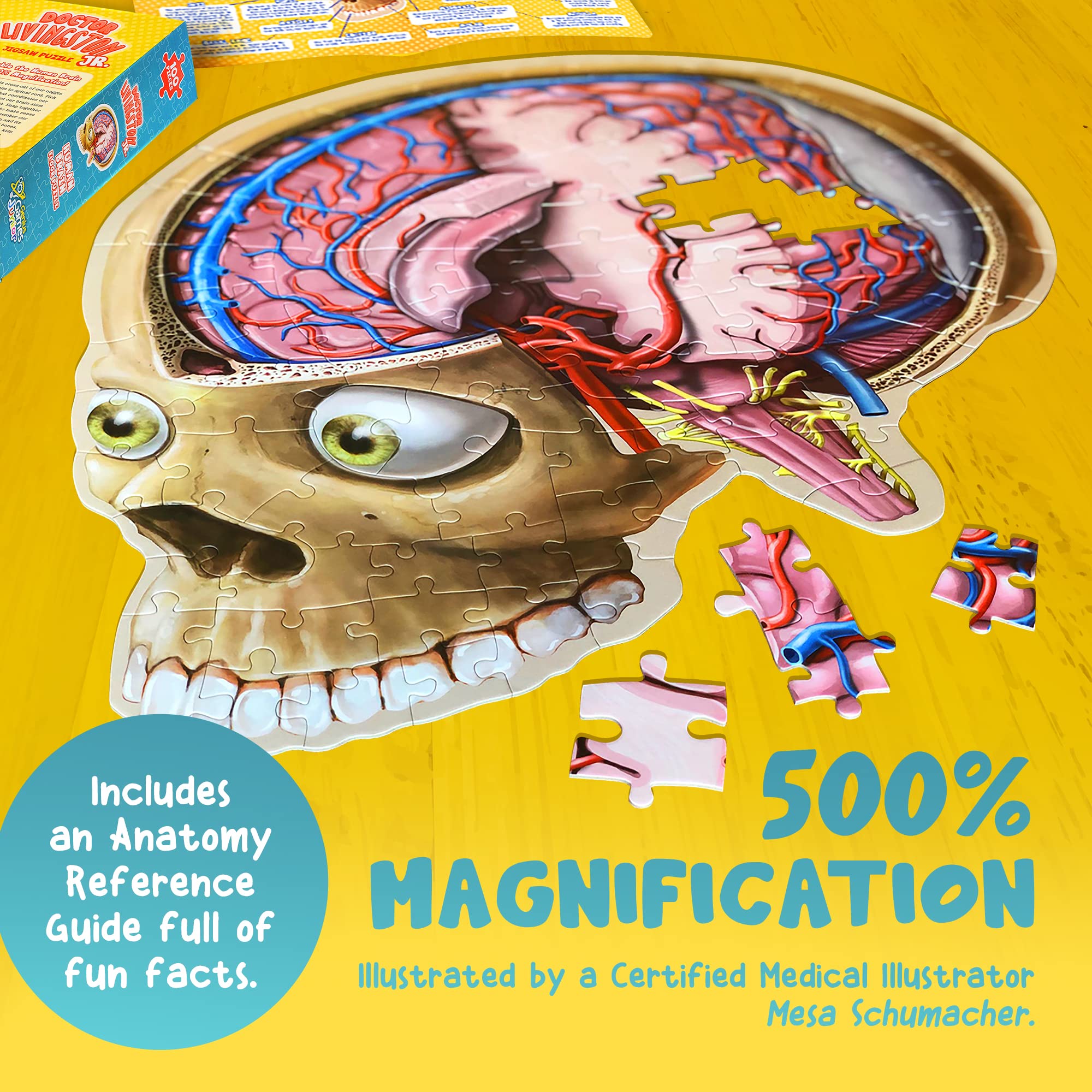 Educational science toy scene featuring Genius Games brain puzzle