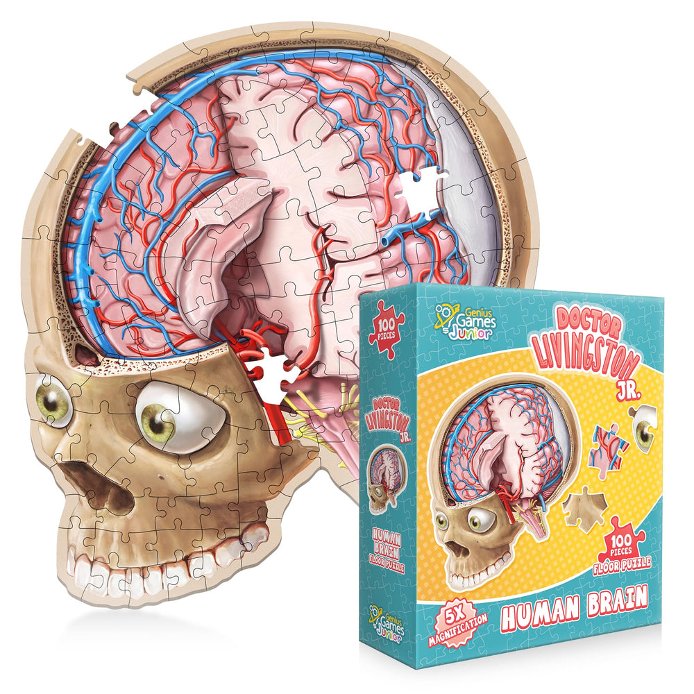 Genius Games brain floor puzzle main image showing a hands-on brain model for learning