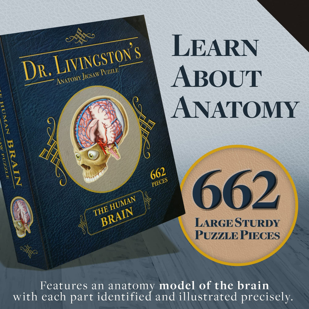 Genius Games brain anatomy puzzle stem-slice highlights brain structure for classroom practice.