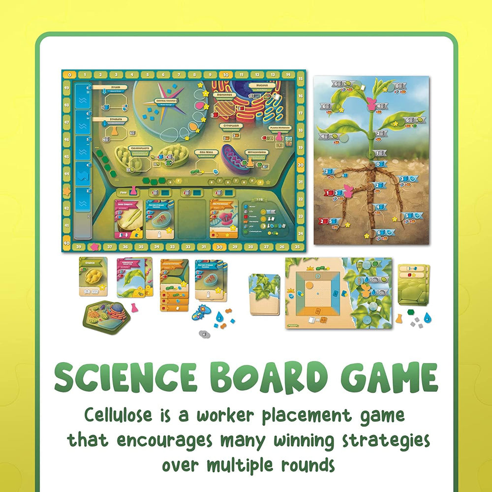 Genius Games Cellulose daytime action spaces guiding organelle activation for dynamic play.