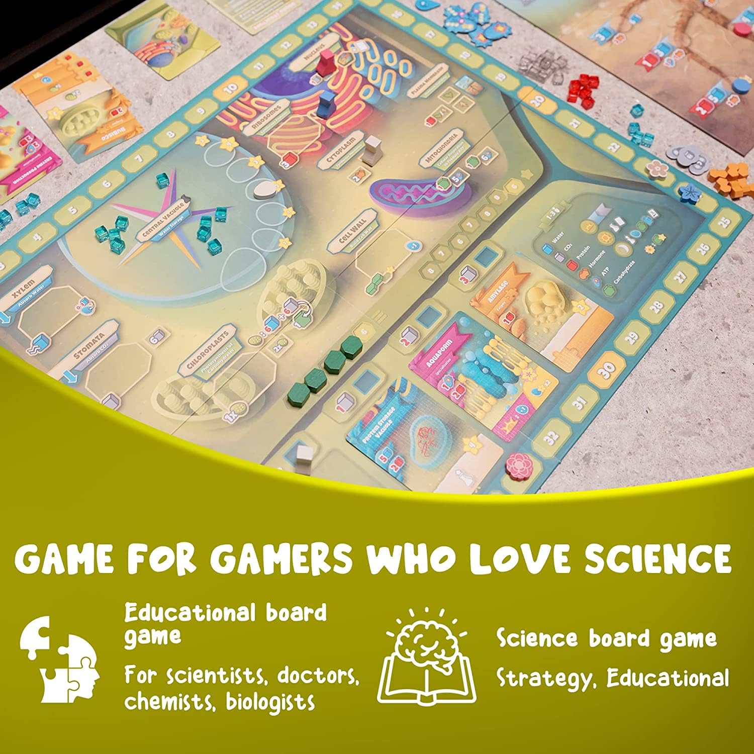 Genius Games Cellulose cactus and mangrove scenarios setup for varied strategies.