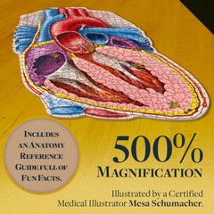 Genius Games artwork by a certified medical illustrator enhances heart visuals