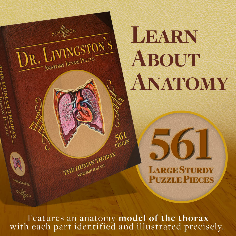 Genius Games custom-piece-outline-organs highlights organs for hands-on learning.