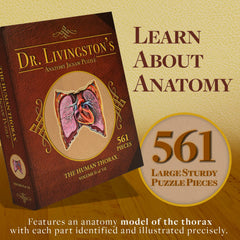 Genius Games custom-piece-outline-organs highlights organs for hands-on learning.