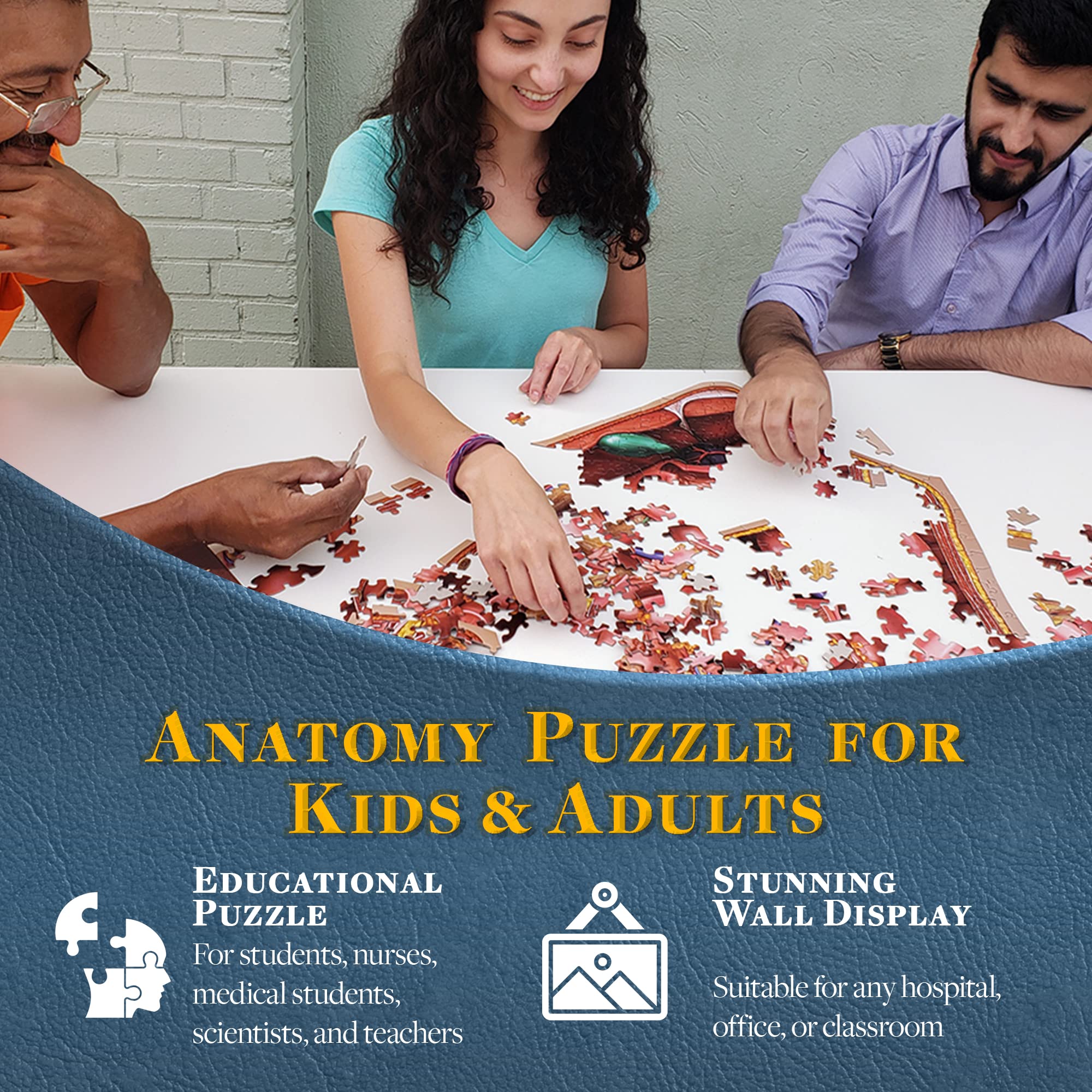 Genius Games detailed cross-section art supports engaging educational exploration.