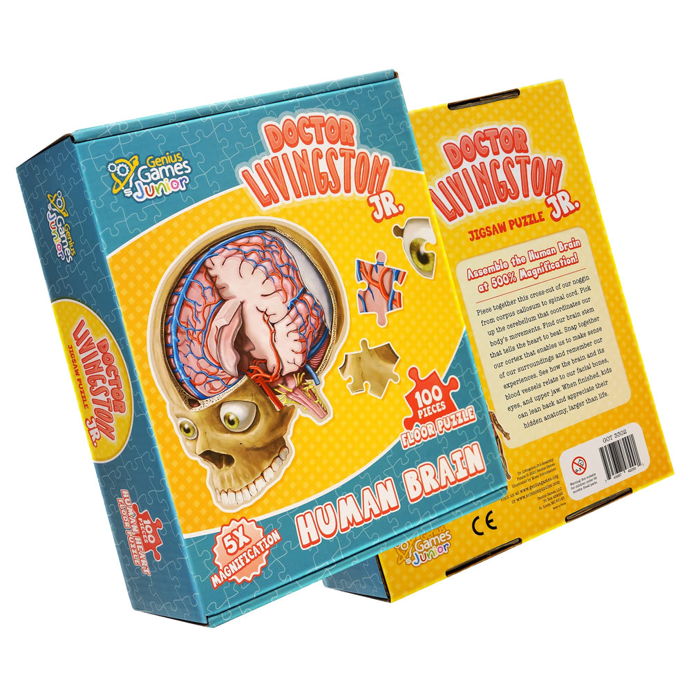 Doctor Livingston Jr cross-section brain view for classroom study