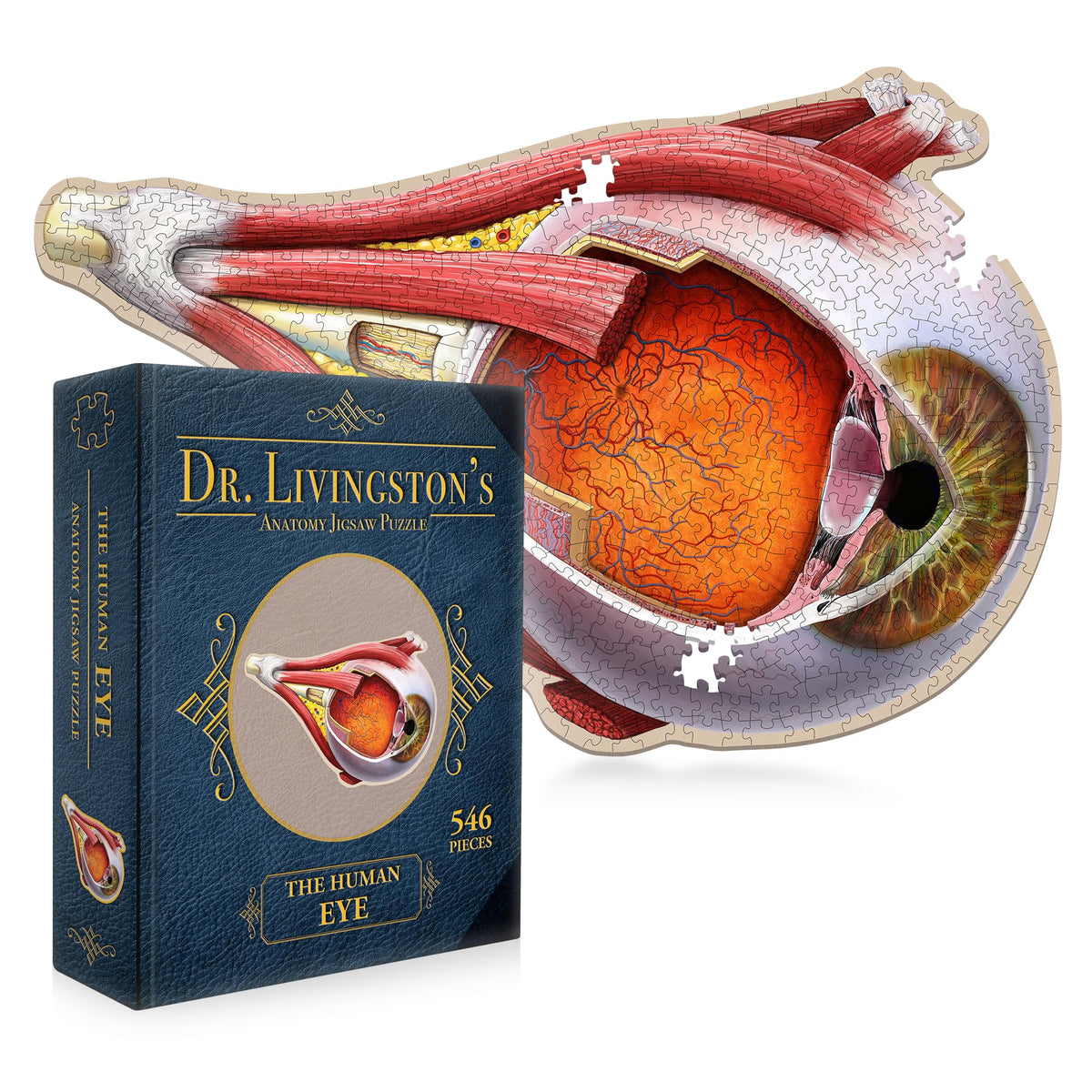 Genius Games Dr Livingston's eye anatomy puzzle cover highlighting labeled parts for study