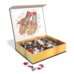 Genius Games Dr. Livingston's Hands puzzle assembled display showcases interactive anatomy exploration.