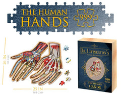 Genius Games Dr. Livingston's Hands puzzle close-up details highlight bone structure and joints.