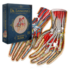 Genius Games Dr. Livingston's Hands puzzle front view reveals hands anatomy for classroom learning.