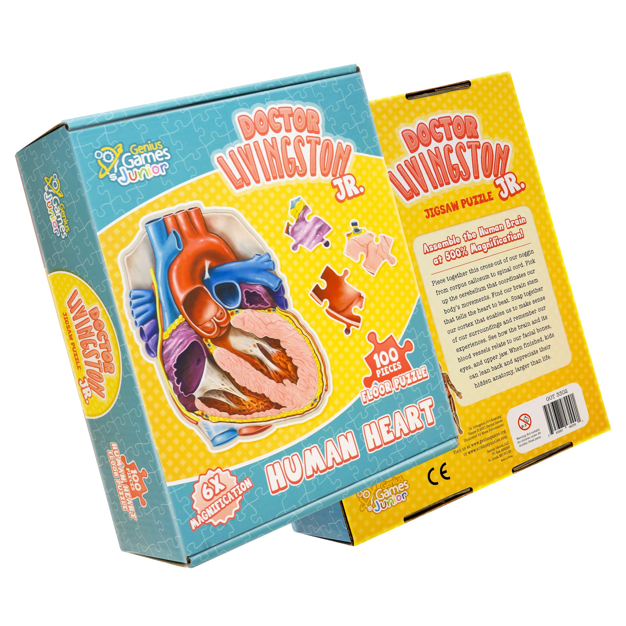 Genius Games Dr Livingston Jr heart cross-section shows anatomy for guided study.