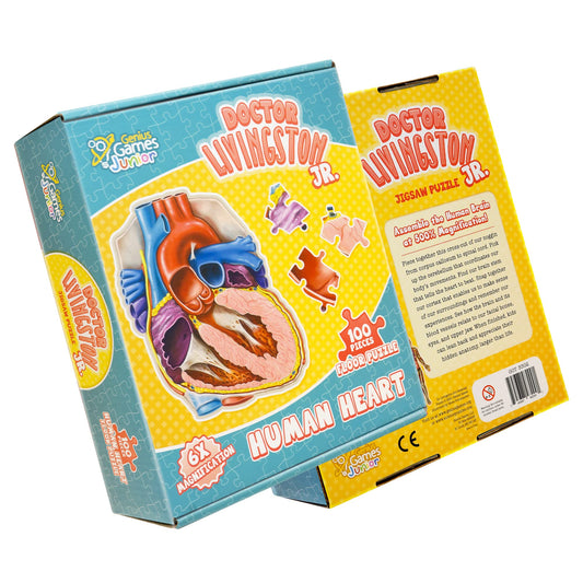 Genius Games Dr Livingston Jr heart cross-section shows anatomy for guided study.