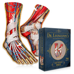 Genius Games Dr Livingston's feet cross-section puzzle reveals internal anatomy for study.