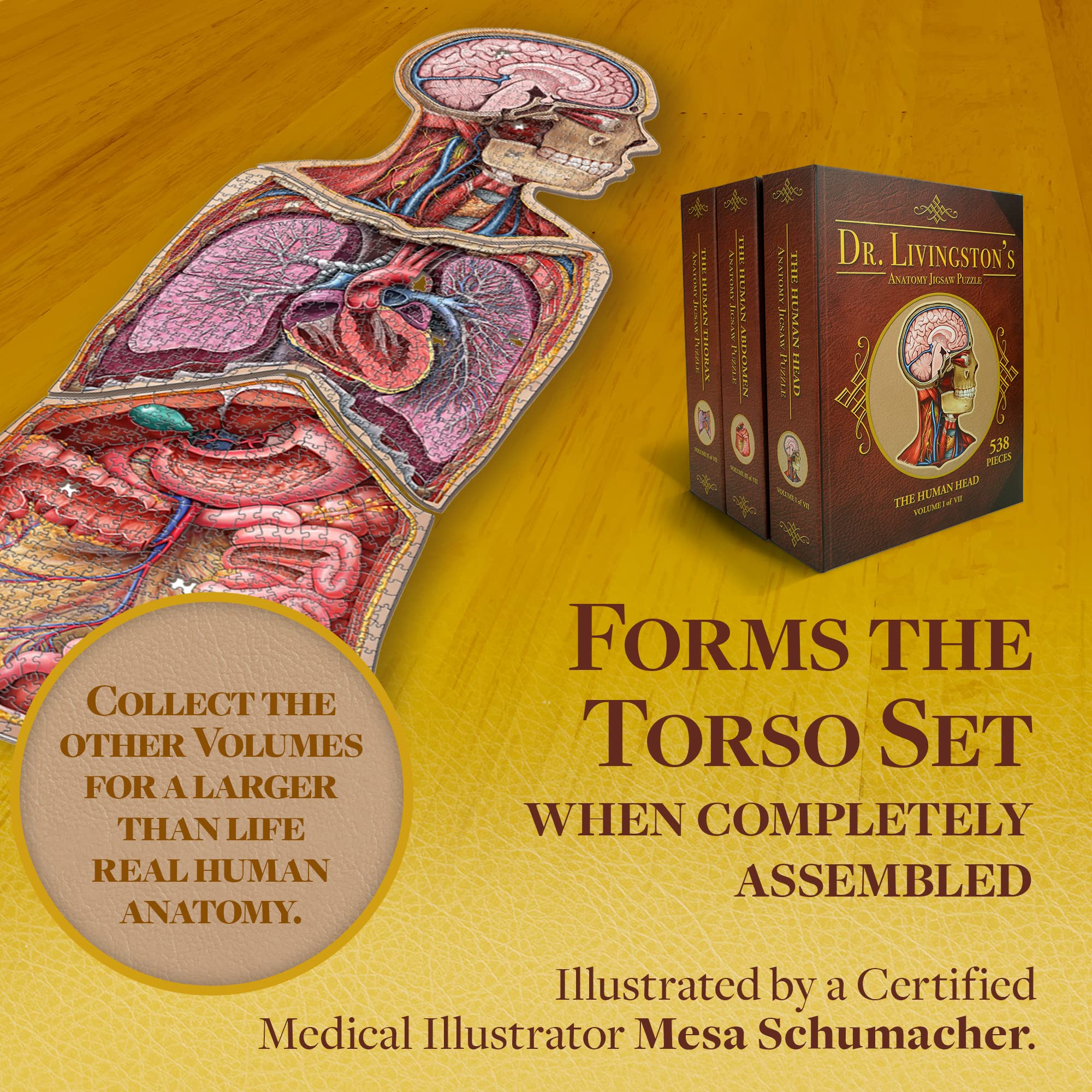 Genius Games educational-puzzle-classroom-use invites interactive anatomy learning.