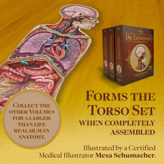 Genius Games educational-puzzle-classroom-use invites interactive anatomy learning.