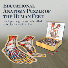 Genius Games Dr Livingston's anatomy guide included helps identify parts during assembly.